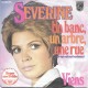 SEVERINE - Un banc, un arbre, une rue  